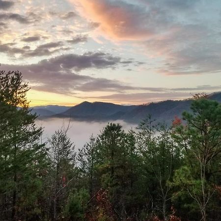 Lazy Bear Lodge Sevierville Exteriör bild