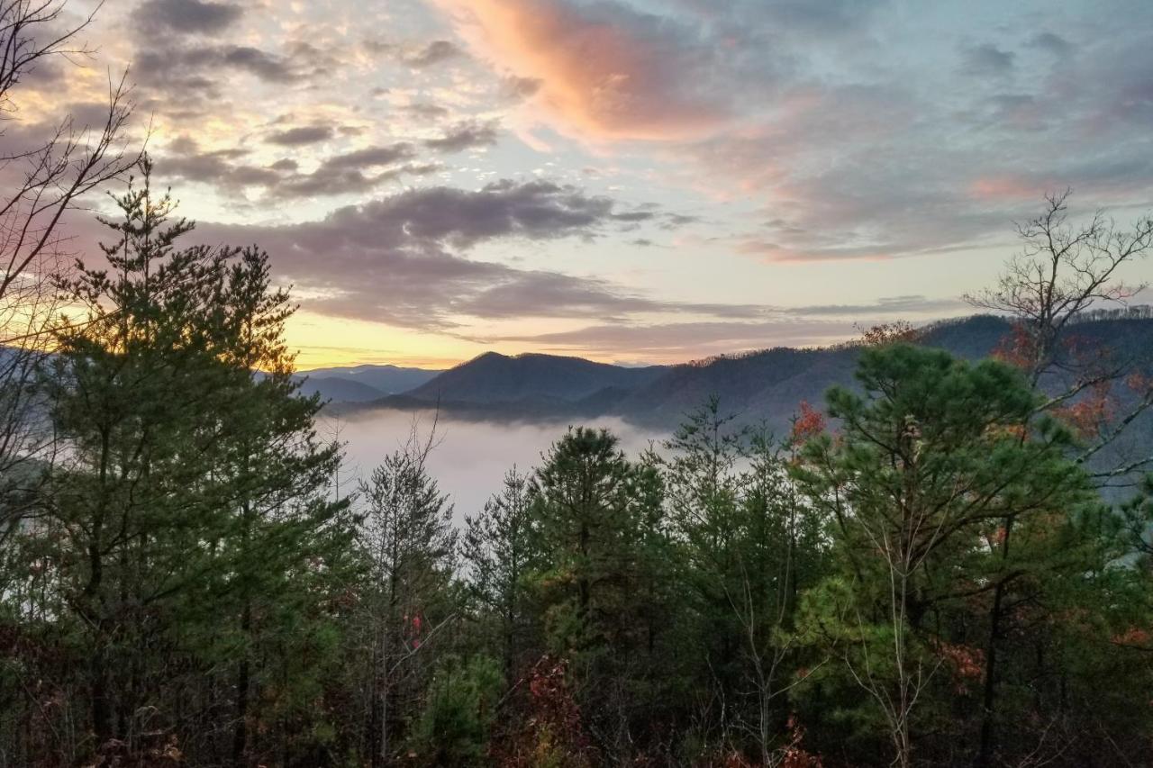 Lazy Bear Lodge Sevierville Exteriör bild